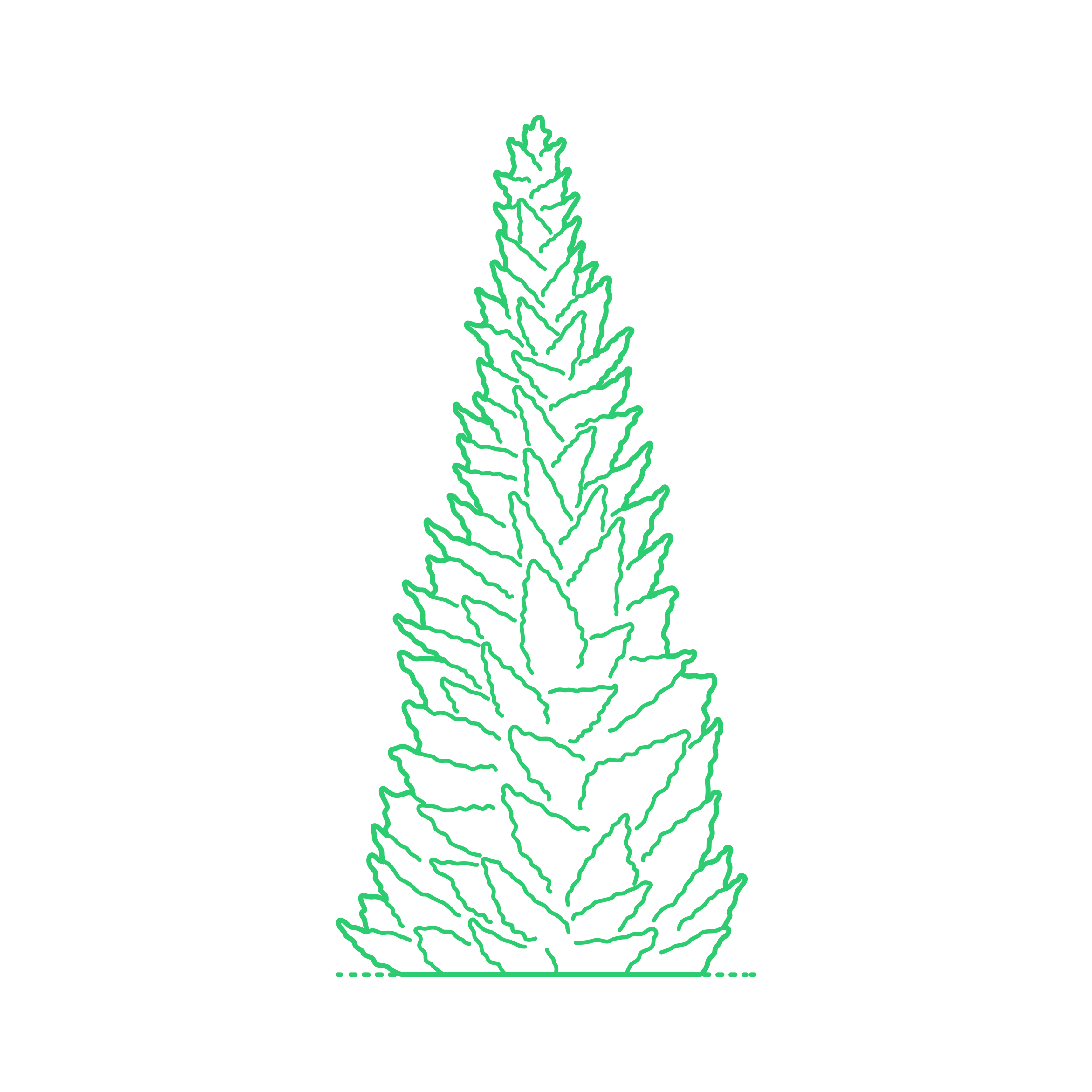 Plants Spruces Serbian Spruce Line Art Illustration Svg Free Vectors